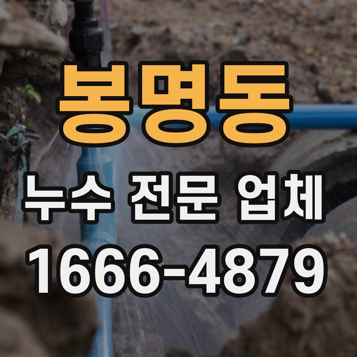 봉명동 누수 전문 업체