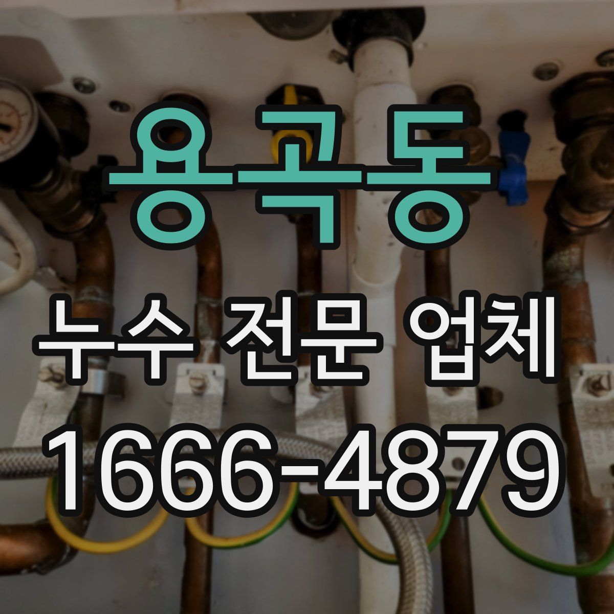 용곡동 누수 전문 업체