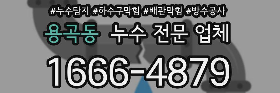 용곡동 누수 전문 업체