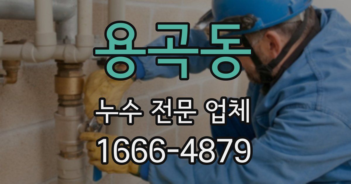 용곡동 누수 전문 업체