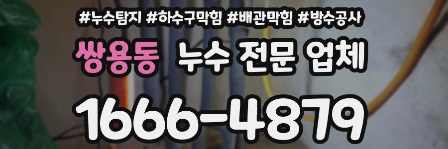 쌍용동 누수 전문 업체