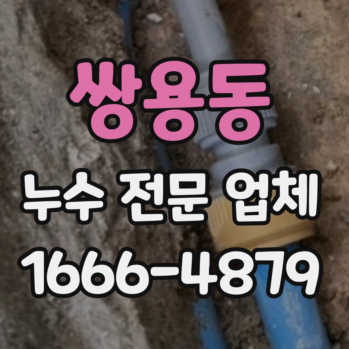 쌍용동 누수 전문 업체