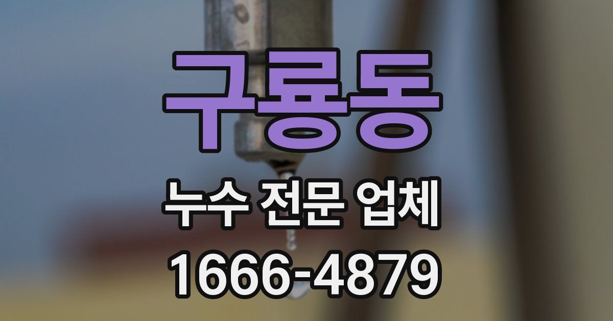 구룡동 누수 전문 업체