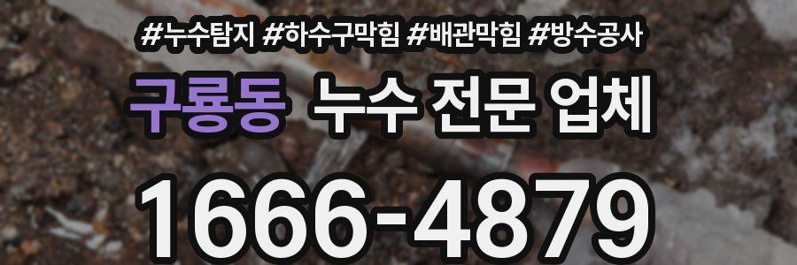구룡동 누수 전문 업체