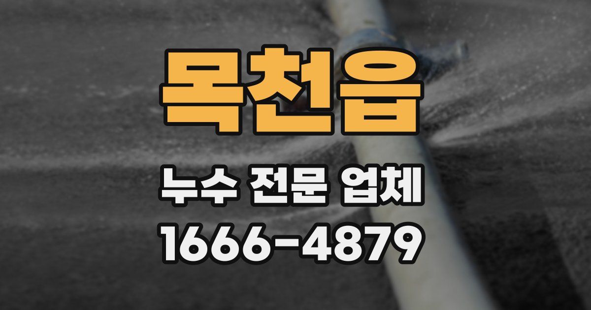 목천읍 누수 전문 업체