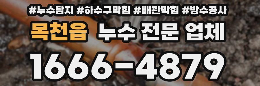 목천읍 누수 전문 업체