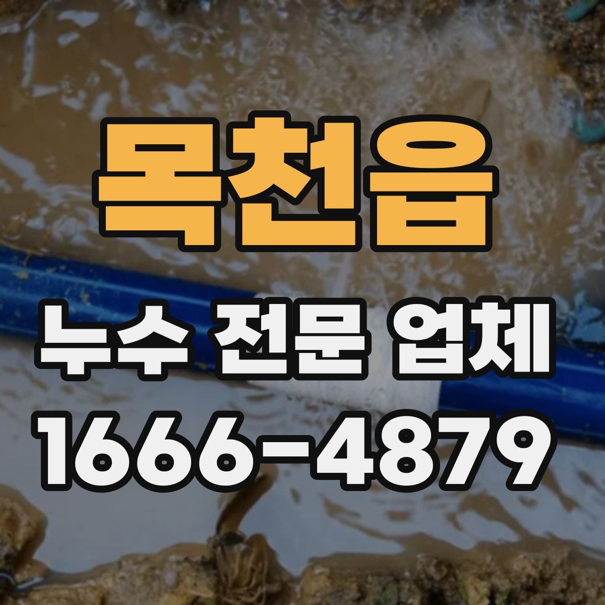 목천읍 누수 전문 업체