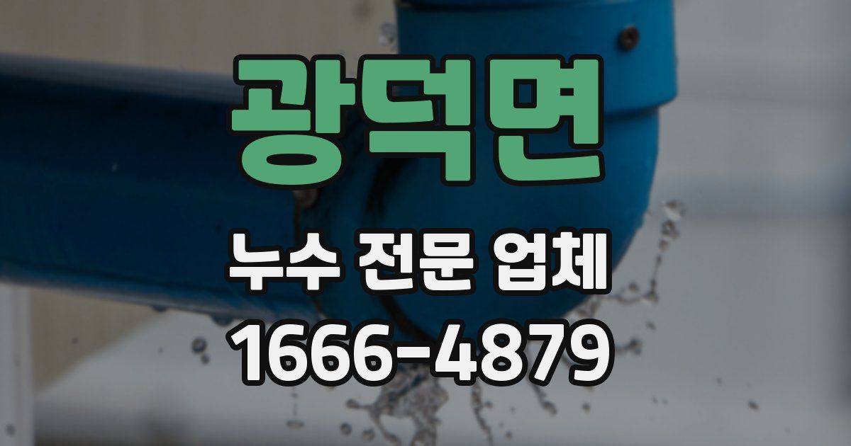 광덕면 누수 전문 업체
