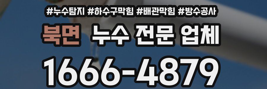 북면 누수 전문 업체