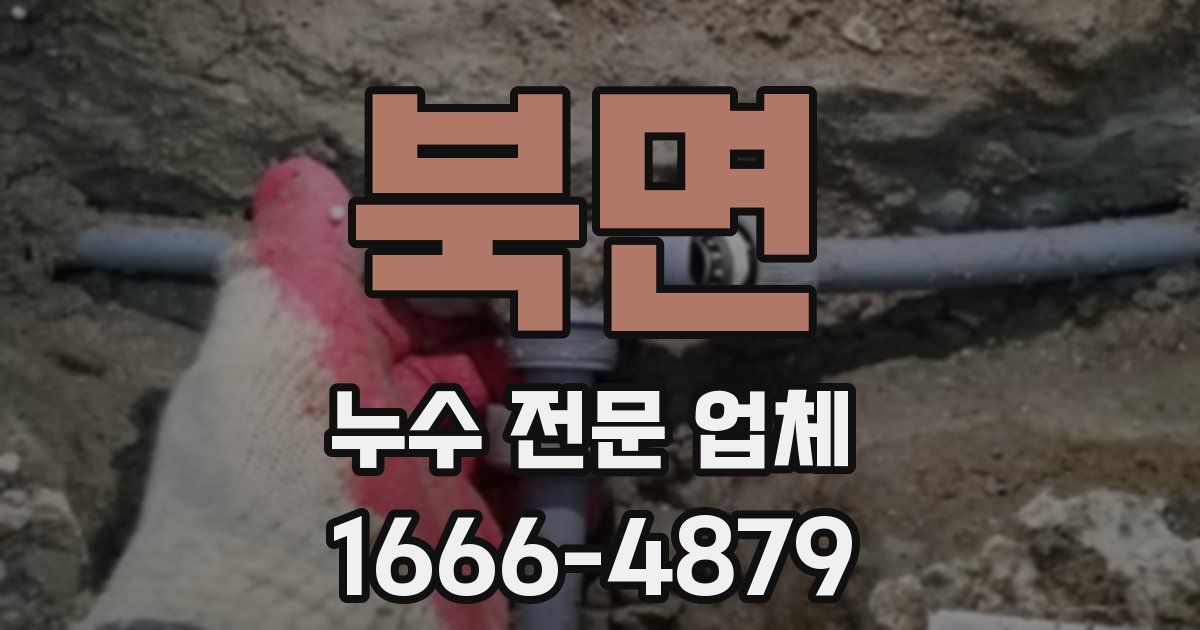 북면 누수 전문 업체