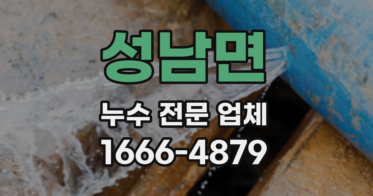 성남면 누수 전문 업체