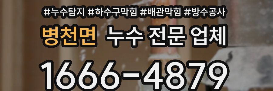 병천면 누수 전문 업체