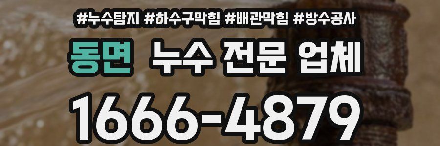 동면 누수 전문 업체