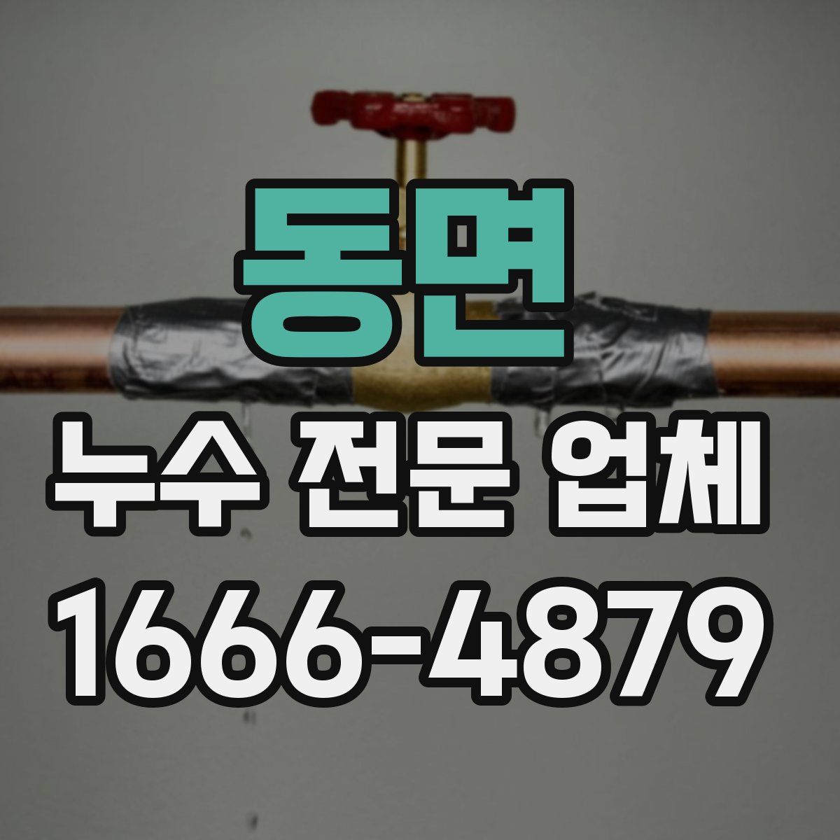 동면 누수 전문 업체