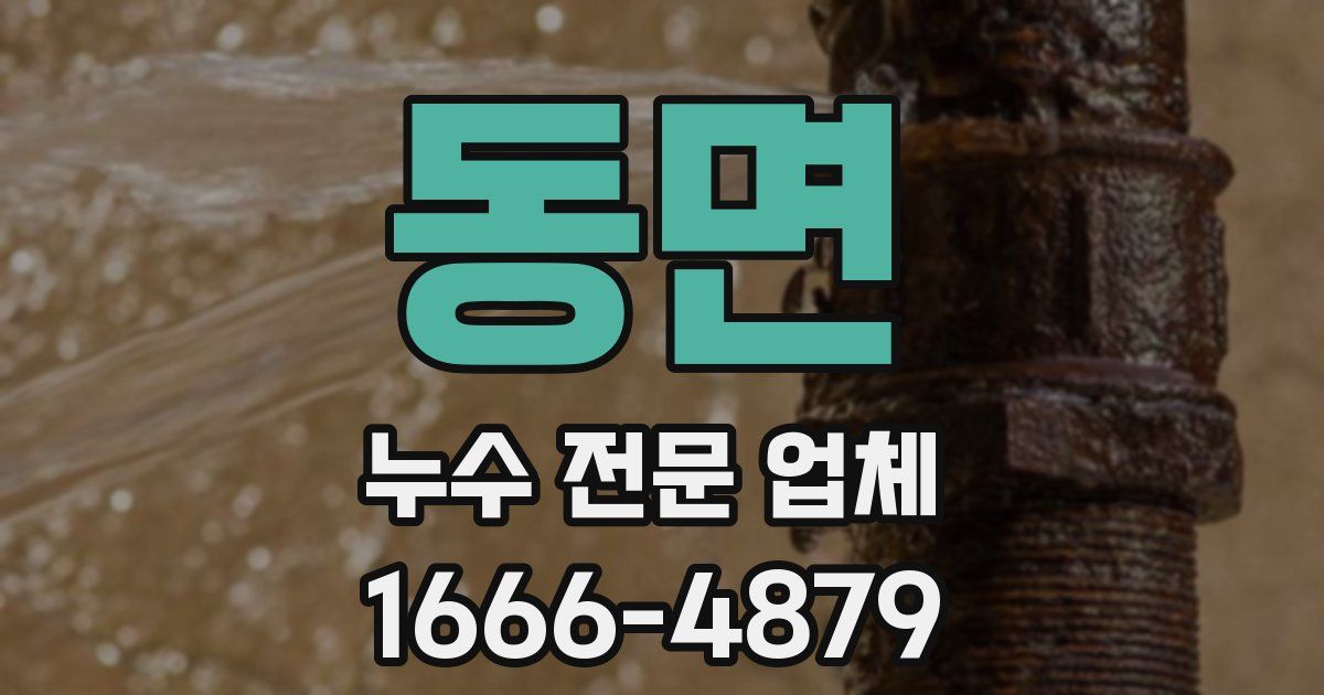 동면 누수 전문 업체