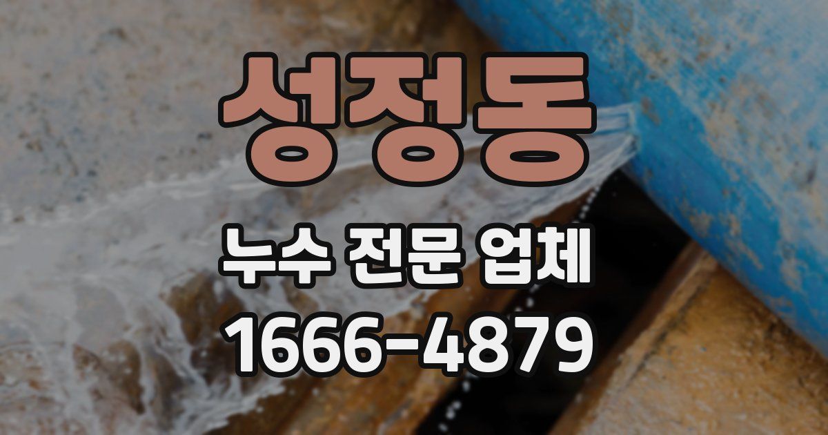 성정동 누수 전문 업체