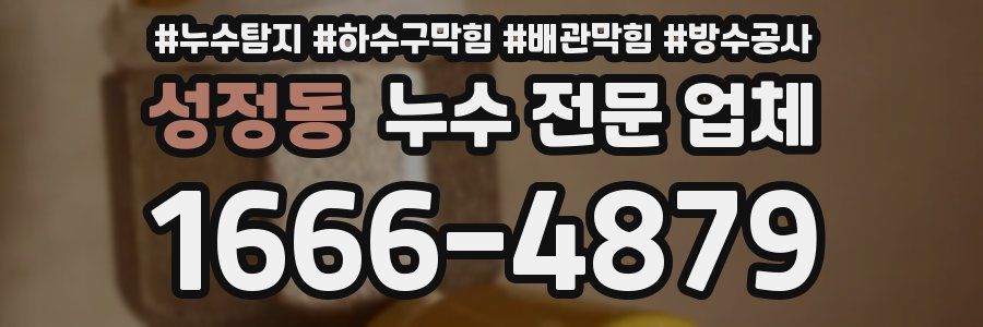 성정동 누수 전문 업체