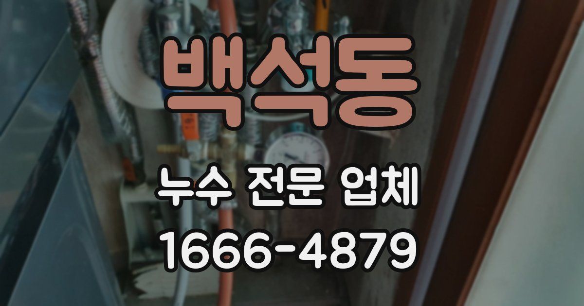 백석동 누수 전문 업체
