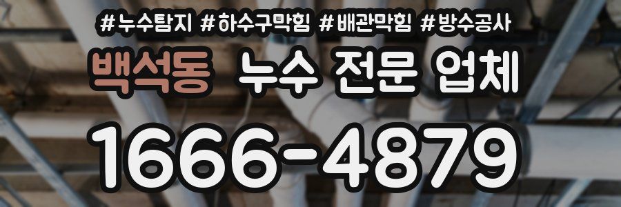 백석동 누수 전문 업체