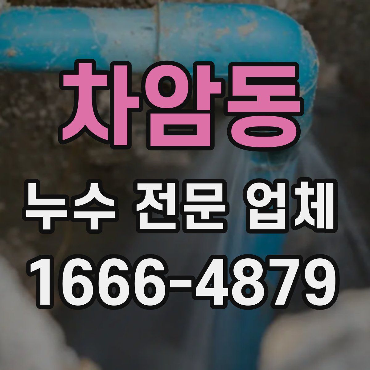 차암동 누수 전문 업체