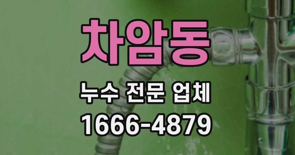 차암동 누수 전문 업체