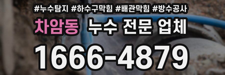 차암동 누수 전문 업체