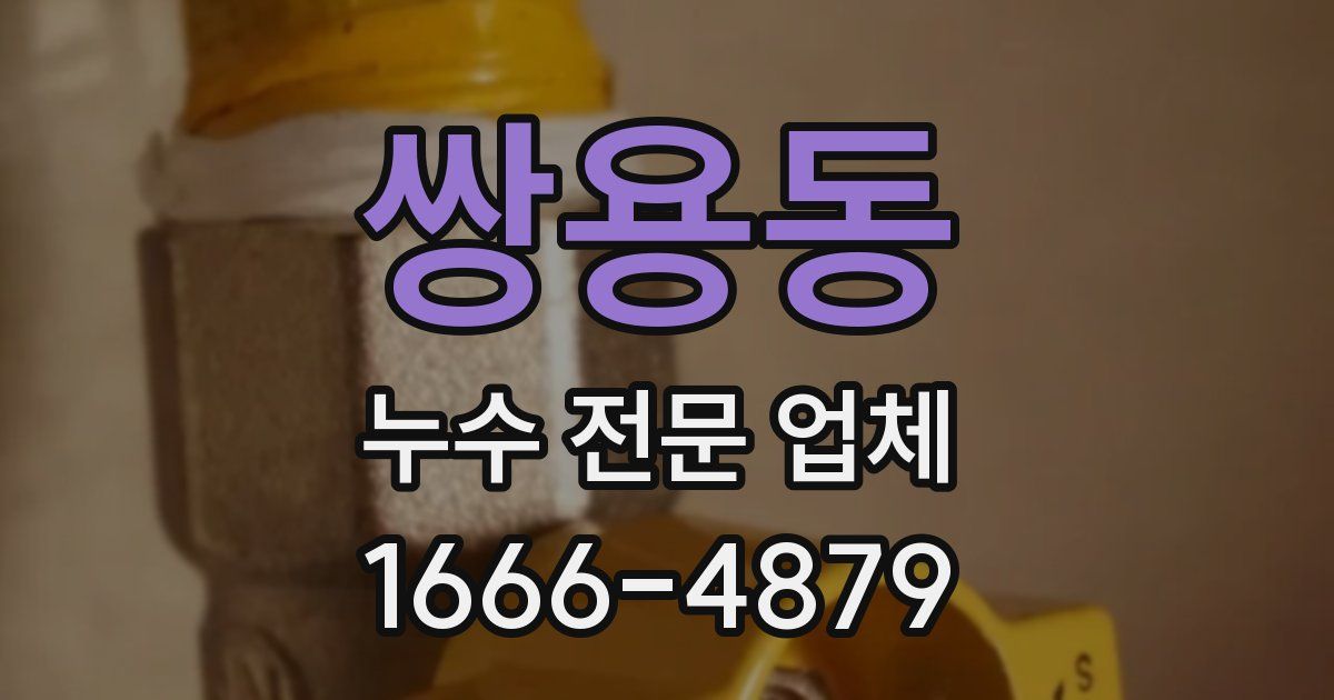 쌍용동 누수 전문 업체
