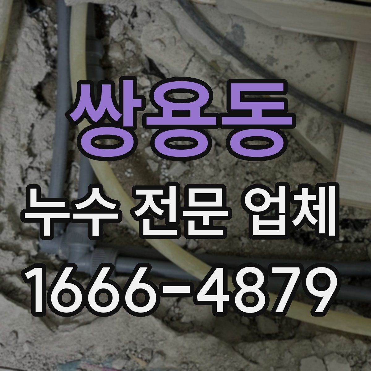 쌍용동 누수 전문 업체