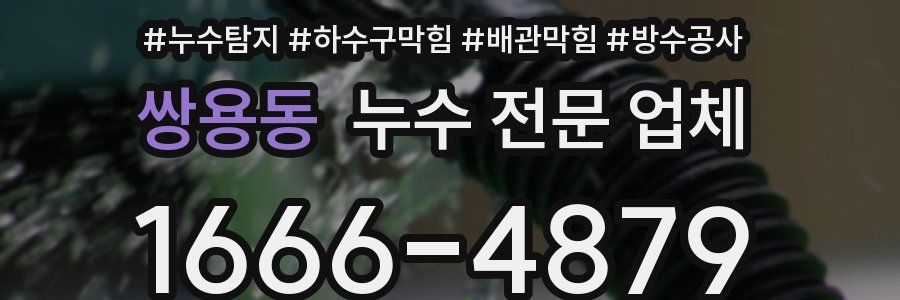쌍용동 누수 전문 업체