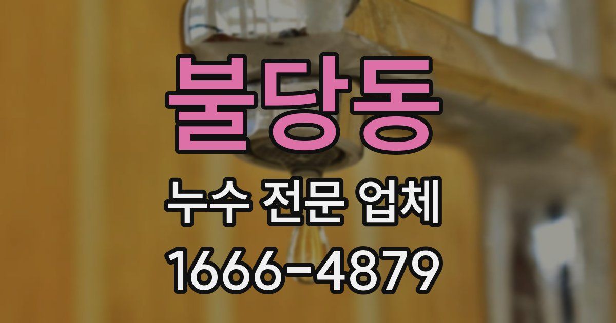 불당동 누수 전문 업체