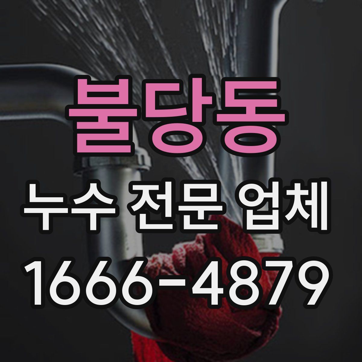 불당동 누수 전문 업체