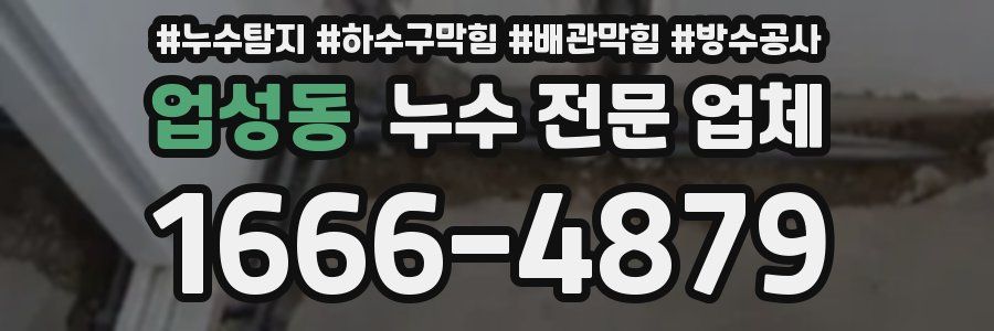 업성동 누수 전문 업체