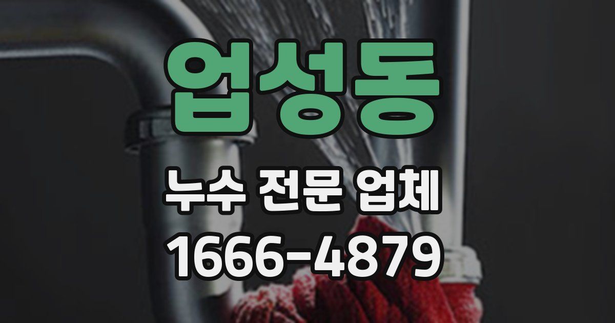 업성동 누수 전문 업체