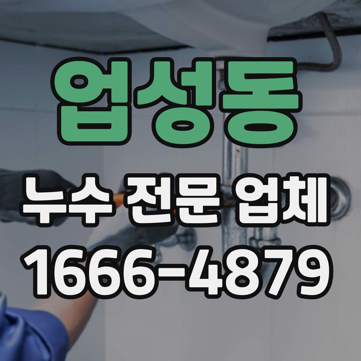 업성동 누수 전문 업체