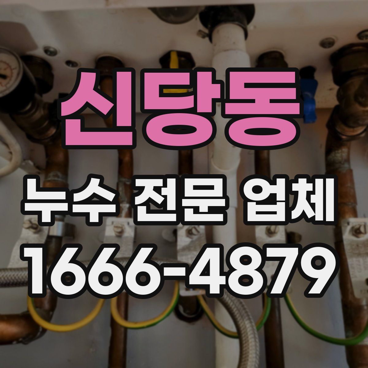 신당동 누수 전문 업체