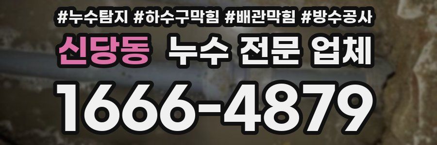 신당동 누수 전문 업체