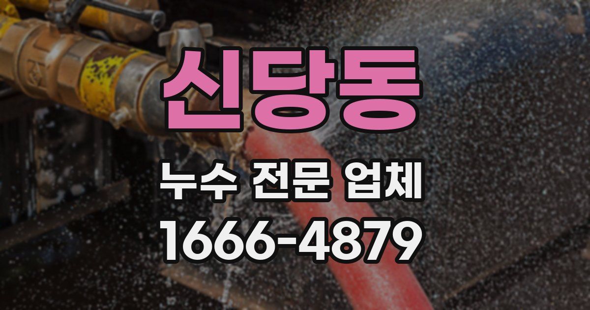신당동 누수 전문 업체