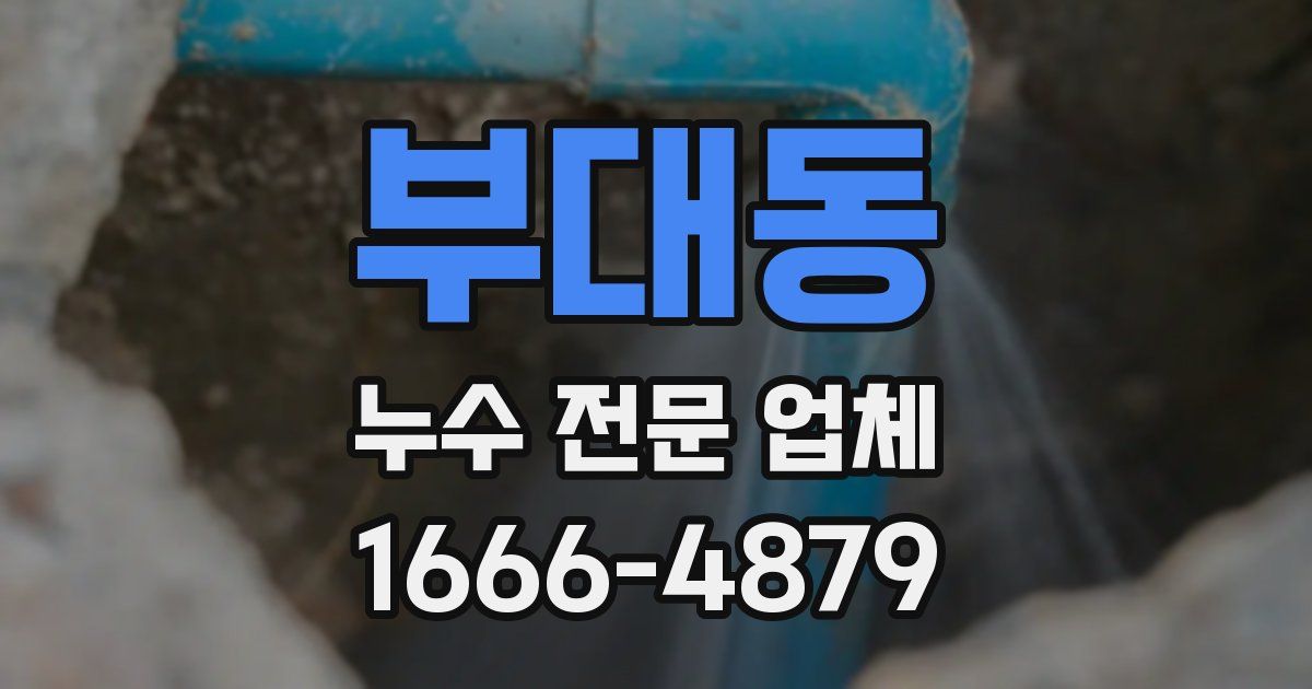 부대동 누수 전문 업체