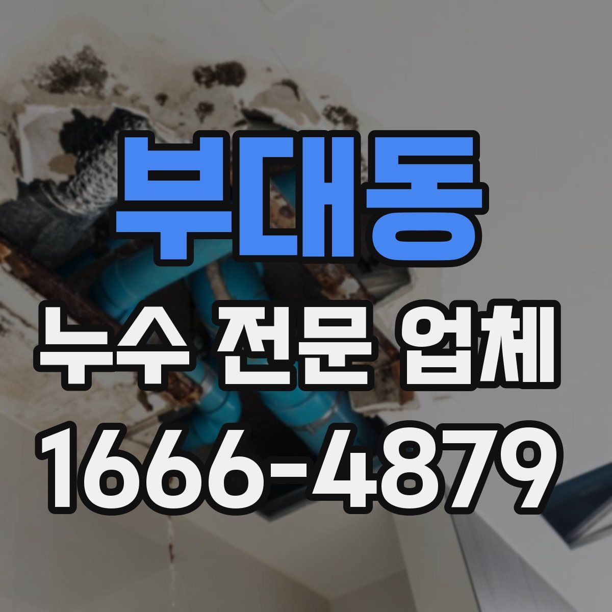 부대동 누수 전문 업체