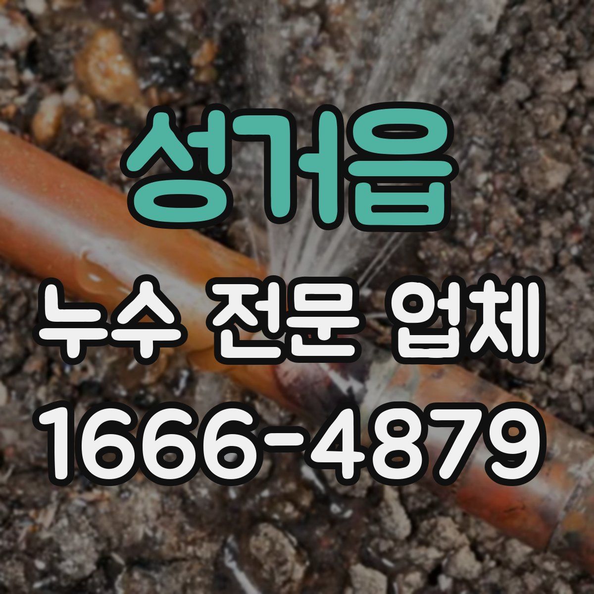 성거읍 누수 전문 업체