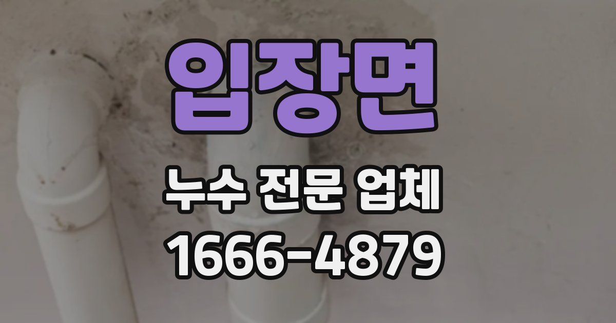 입장면 누수 전문 업체