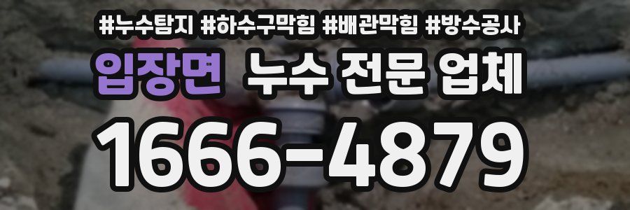 입장면 누수 전문 업체