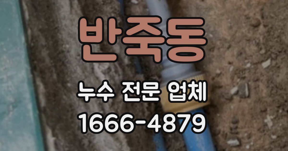 반죽동 누수 전문 업체