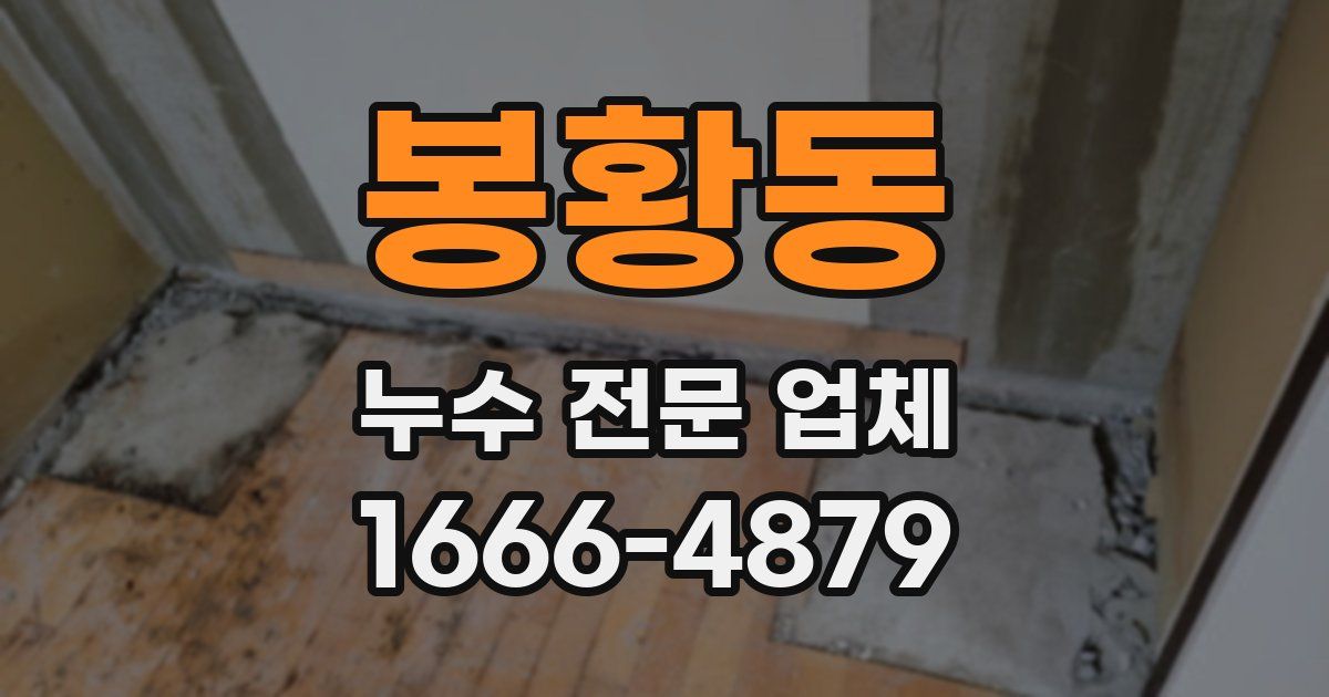 봉황동 누수 전문 업체