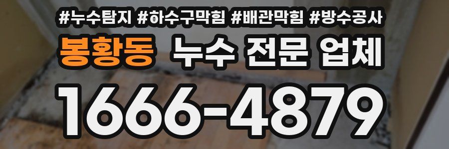 봉황동 누수 전문 업체