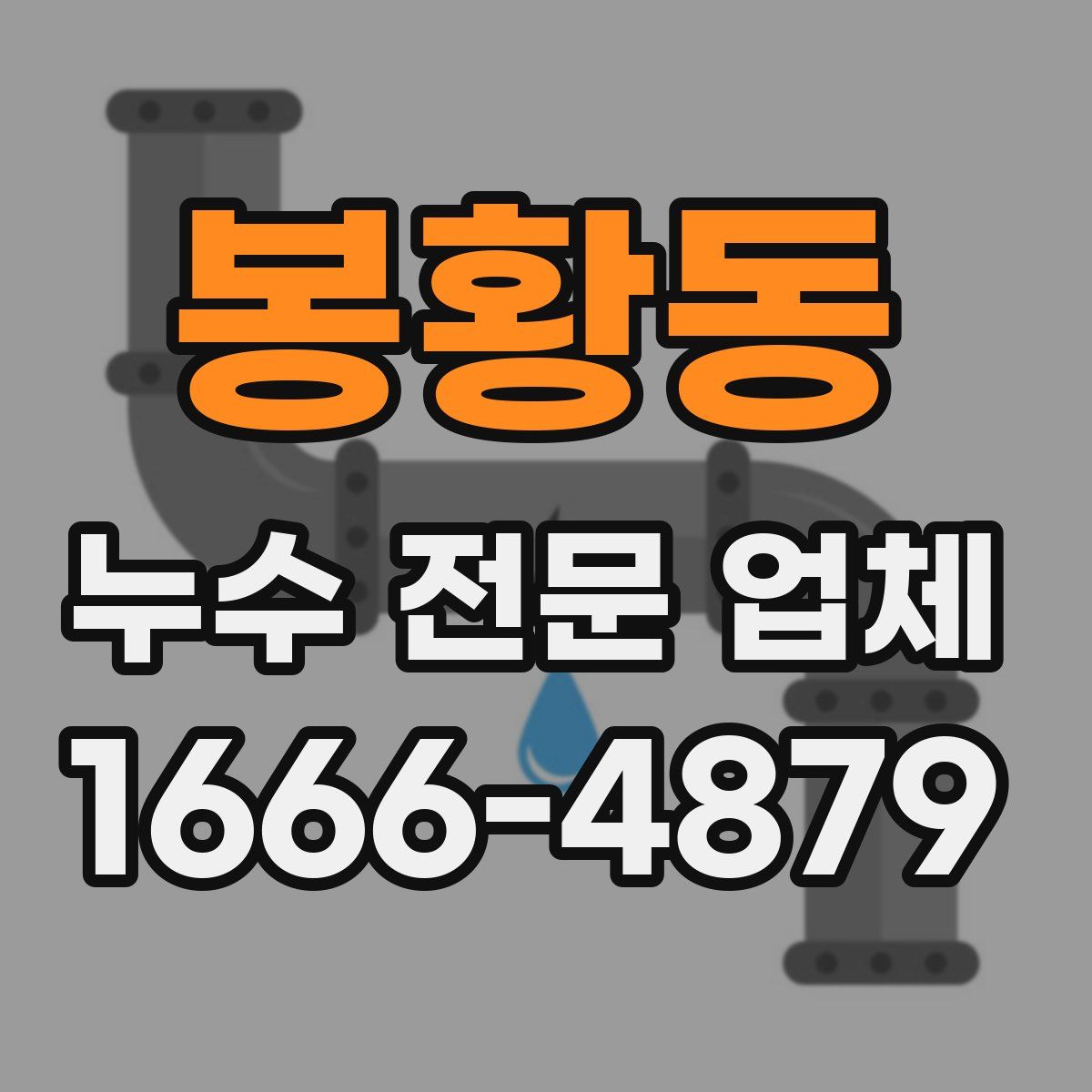 봉황동 누수 전문 업체