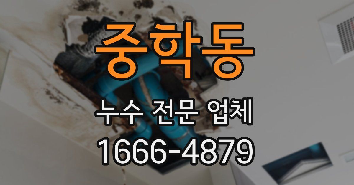 중학동 누수 전문 업체