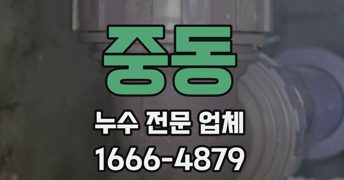 중동 누수 전문 업체