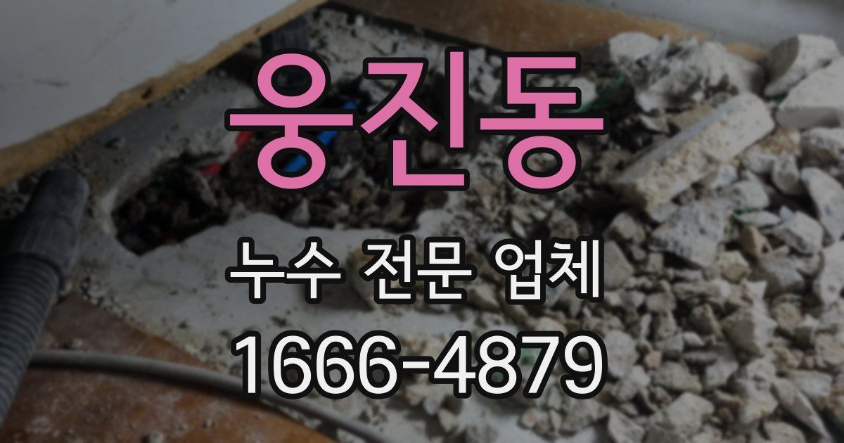 웅진동 누수 전문 업체
