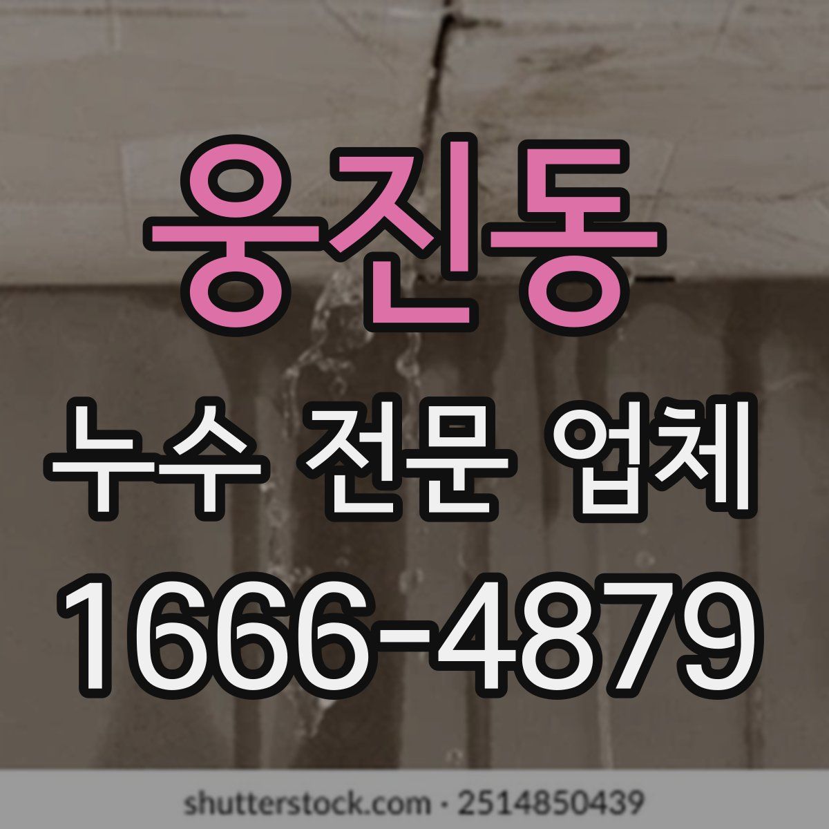 웅진동 누수 전문 업체